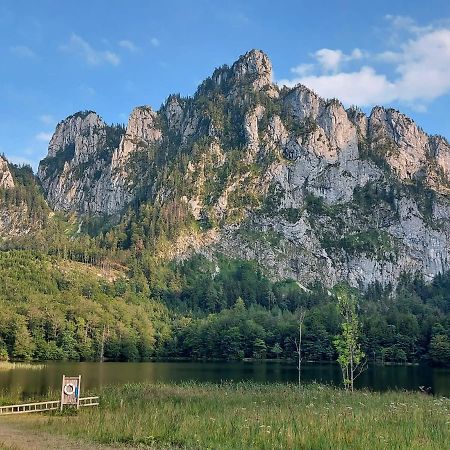 Neues Traunsee Apartment Альтмюнстер Екстер'єр фото