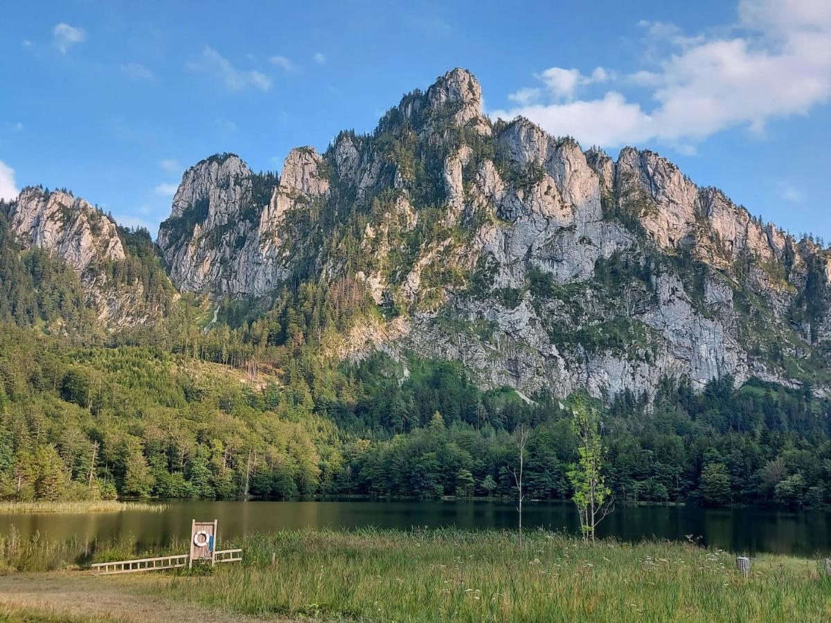 Neues Traunsee Apartment Альтмюнстер Екстер'єр фото